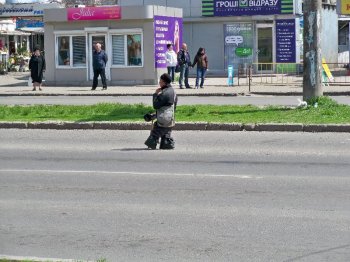 Заболотные попрошайки-камикадзе