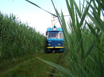 Сильные дожди в Одессе повлияли на работу городского электротранспорта