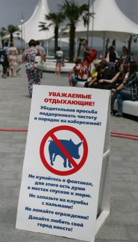 Что происходит на набережной у Дельфинария?