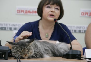 В Одессе редкие кошки вовсю красовались и рвались к микрофонам (фото)
