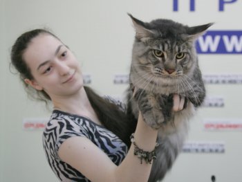 В Одессе редкие кошки вовсю красовались и рвались к микрофонам (фото)