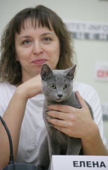 В Одессе редкие кошки вовсю красовались и рвались к микрофонам (фото)