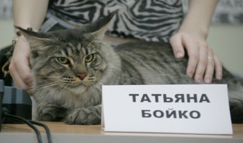 В Одессе редкие кошки вовсю красовались и рвались к микрофонам (фото)