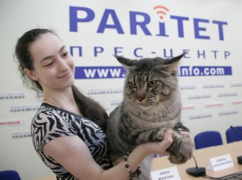 В Одессе редкие кошки вовсю красовались и рвались к микрофонам (фото)