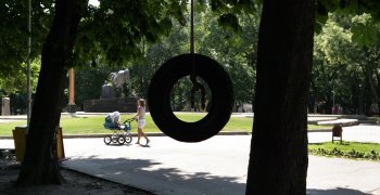 Одесские парки стали «украшать» шины на деревьях