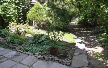 Одесситы превратили свой старый двор в оазис