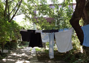 Одесситы превратили свой старый двор в оазис