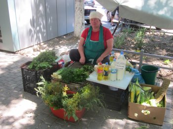 Кто «крышует» стихийную торговлю? (фото)