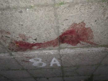 Будьте бдительны: орудует убийца (осторожно, фото)