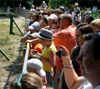 Одесская слониха Венди принимает ежедневный душ и посыпает себя пылью