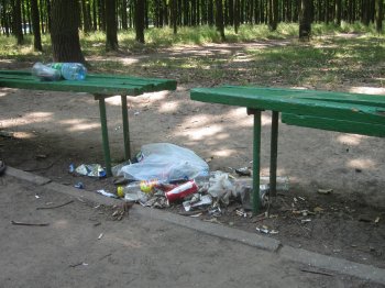 411-я батарея: мусор, кафе, лошади и аттракционы…