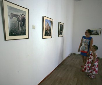В монастыре открылась выставка Леси Чикарюк (фото)