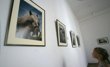 В монастыре открылась выставка Леси Чикарюк (фото)