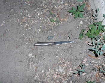 Жительница Белгород-Днестровского набросилась с ножом на милиционера