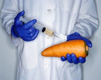 Cписок производителей ГМО-продуктов