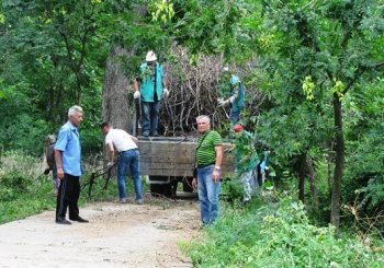 В Одессе благоустраивают парки только к большим праздникам?