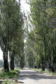 Территория будущей главной одесской арены Евробаскета-2015 освобождается под строительство