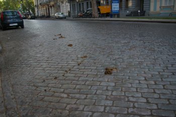 Почему в Одессе так грязно? (фото)