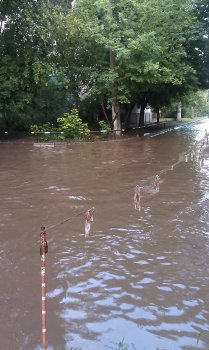 Жители Малиновского района уже живут, как на курорте: Купаться можно прямо во  дворах (фото)