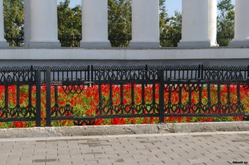 Проблемная карта города: Приморский район