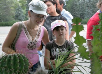 В Одессе нашествие… кактусов (фото)
