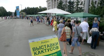 В Одессе нашествие… кактусов (фото)