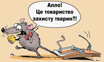 Украинской прокуратуре сделают обрезание
