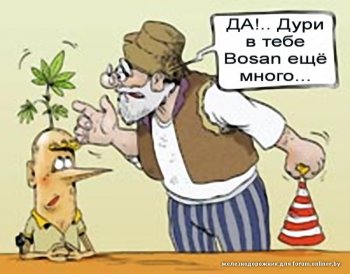 Мобильный телефон довел одесситку до тюрьмы