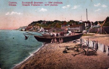 Как дельфины «изгнали» паламиду из вод Черного моря вблизи Одессы