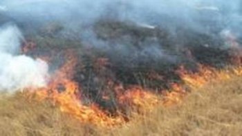 На полях региона сгорело около 6 тонн сена