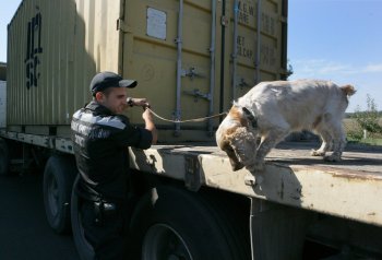 Пункты пропуска через молдавско-украинскую границу: Несмотря на летний «наплыв», ситуация стабильна