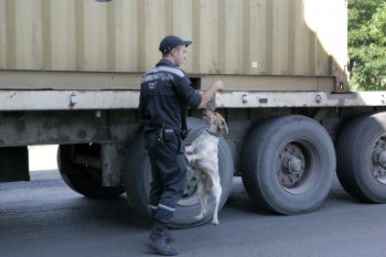 Пункты пропуска через молдавско-украинскую границу: Несмотря на летний «наплыв», ситуация стабильна
