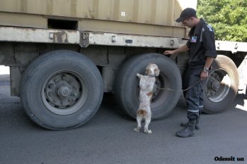 Южной таможней Миндоходов разоблачены нарушения таможенного законодательства свыше 92 млн. грн.
