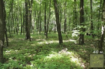 В Украине разработали уникальный камуфляж под названием "ЖАБА"