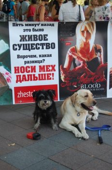 Одесса присоединилась к Международному маршу