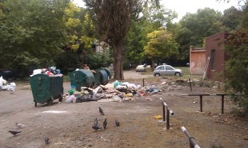 Жители Черемушек предполагают, что мусор стали вывозить реже (фото)