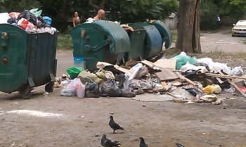 Жители Черемушек предполагают, что мусор стали вывозить реже (фото)