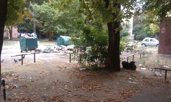 Жители Черемушек предполагают, что мусор стали вывозить реже (фото)
