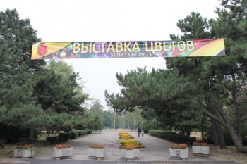Ко Дню города в Одессе пройдет выставка цветов и большой фестиваль