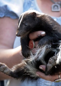 Одесский зоопарк преподнес журналистам необычный подарок