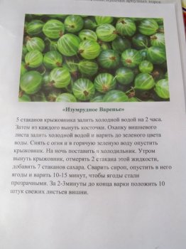 В Одессе хотят установить дату празднования «Дня варенья»