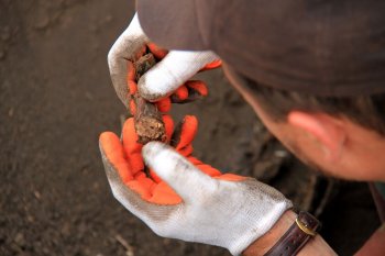 В Одесской области проводятся поисковые работы (фото)