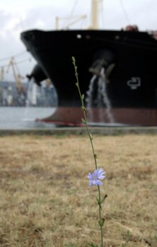 В нефтегавани ОМТП пришвартовался первый танкер с сырьем для Одесского НПЗ