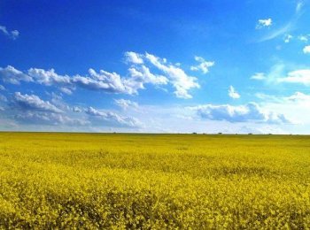 Общественный совет при Одесской ОГА: «Сельское хозяйство Украины нужно поднимать на высокий уровень, иначе мы лишимся одного из самых приоритетных направлений в сфере производства»