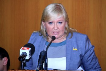 Геннадий Труханов указал на ряд проблем, связанных с оздоровлением детей