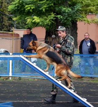 В Одессе милиционеры соревновались с собаками (фото)