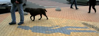 Сегодня мэру опять досталось от одесситов (фото)