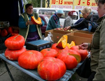 Стартовала ярмарка «ОдессаАгро 2013» (фото)