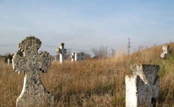 Одесские националисты наконец-то занялись общественно полезным трудом