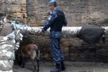 Сообщение о заминировании Одесской областной детской больницы было ложным (фото)